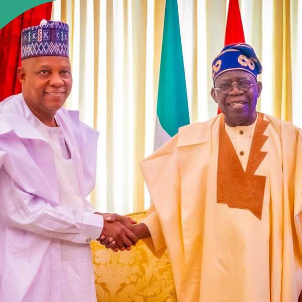 2027 election: Why Tinubu may want to replace VP Shettima, possible reasons emerge